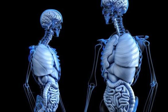 What Is Leaky Gut Syndrome and How Do You Heal It Naturally?