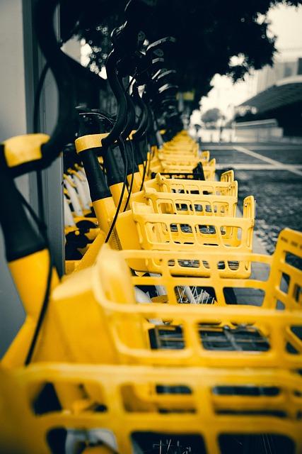 menstrual cycle food