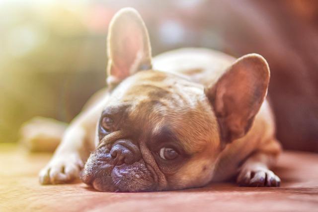shortness of⁣ breath at rest