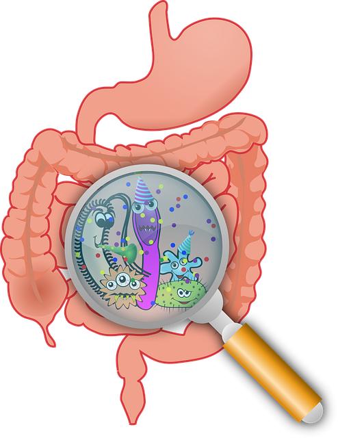 gut health and mood connection